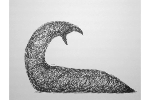 Drawn into Life XII, encre sur papier Canson Bristol, 12x9p.